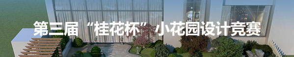 首页广告2